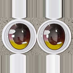 b6
